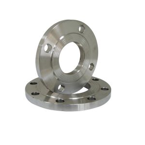 304 Stainless Steel Non-standard PL Flange